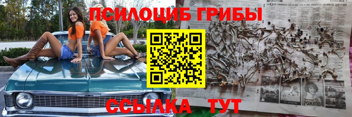 Пушкино  Галлюциногенные грибы прущие грибы  Псилоцибиновые грибы GOLDEN TEACHER  Вход с VPN 