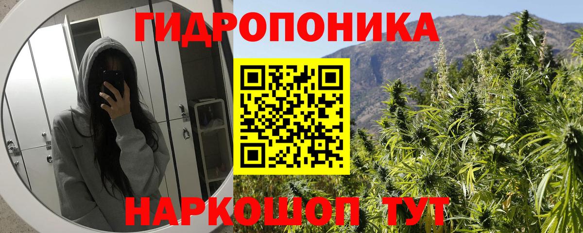 Марихуана конопля Пушкино